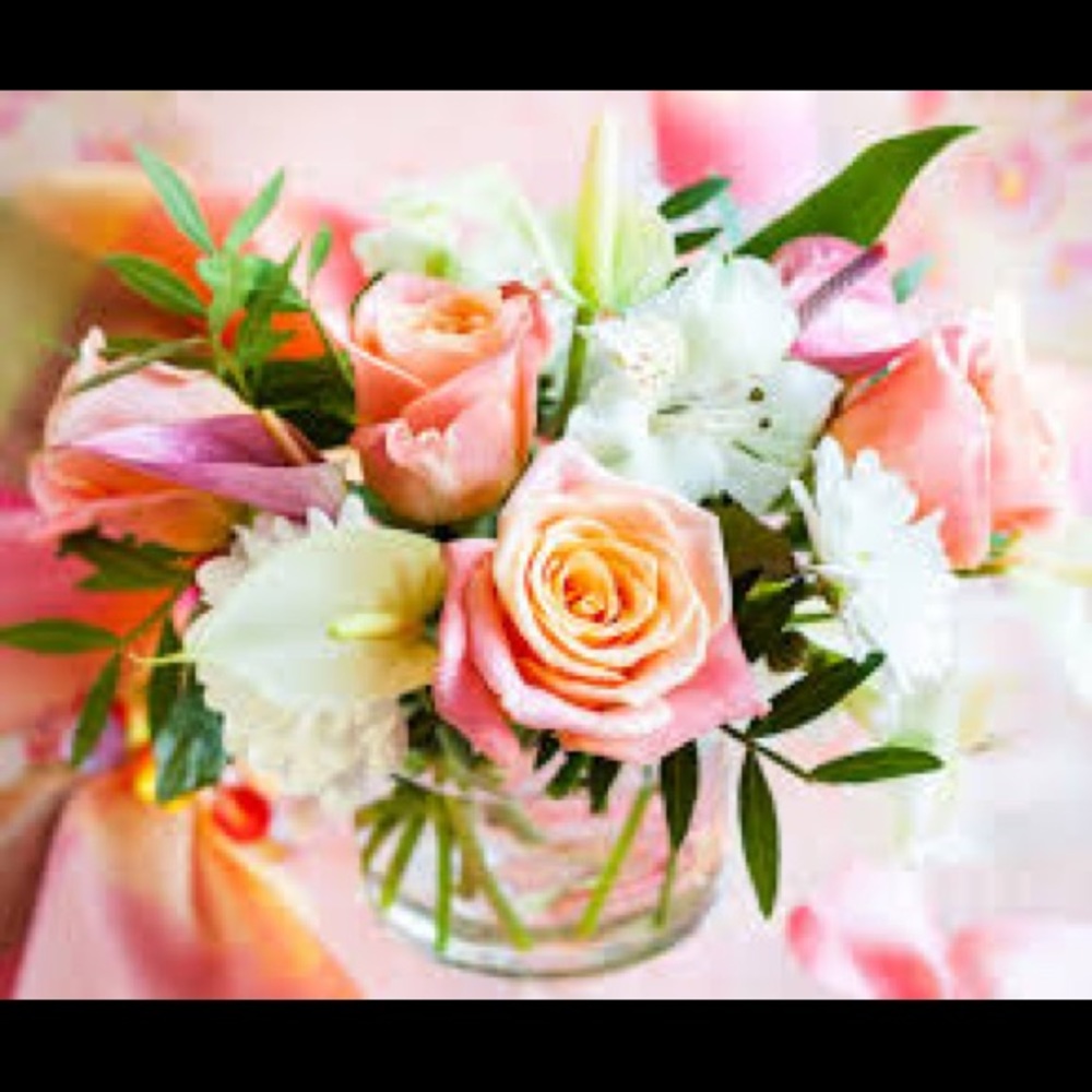 Meet your Posher, Olga